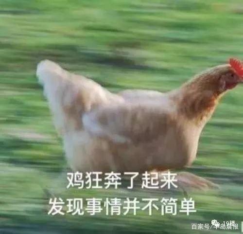 地鐵安檢不允許帶活雞，大媽接下來的行為，把地鐵的小姐姐嚇壞了